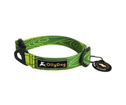 Halsband OllyDog Flagstaff Collar Grön